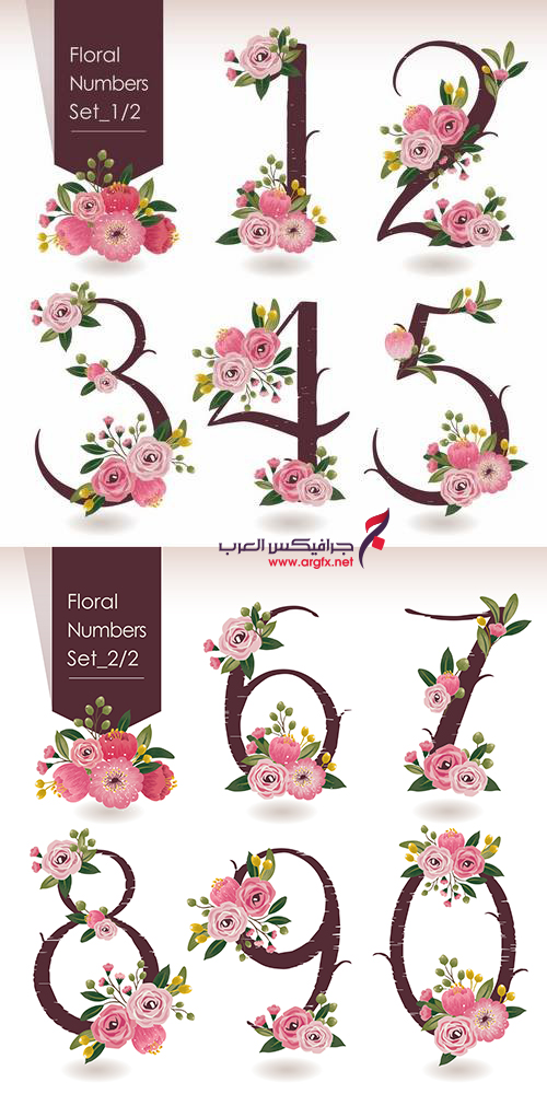  Vector Illustration of Floral Numbers Collection