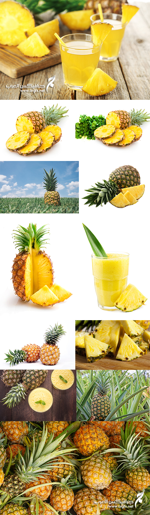 Stock Image Pineapple - 12 UHQ JPEG