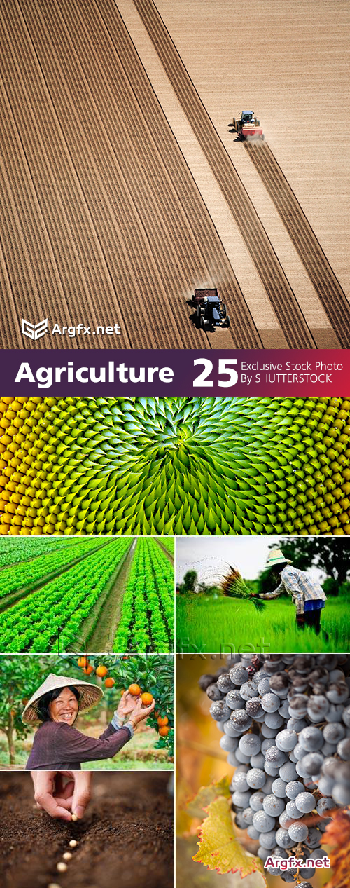 Agriculture 2, 25xJPG