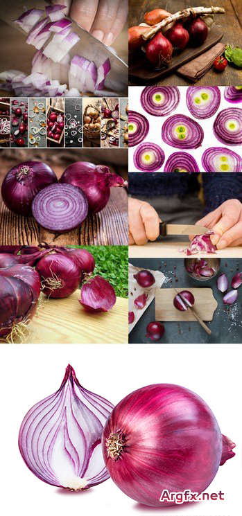 Red Onion - 9 x JPEGs