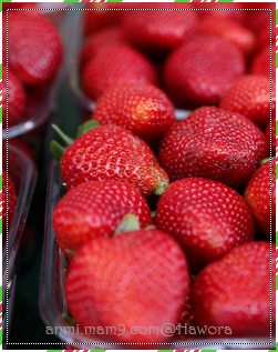 Strawberries  | الفرآولهہ 33> موضوع مميز _ P_665irdd610