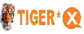 قسم أجـهزة تايجـر TIGER* Mini X HD