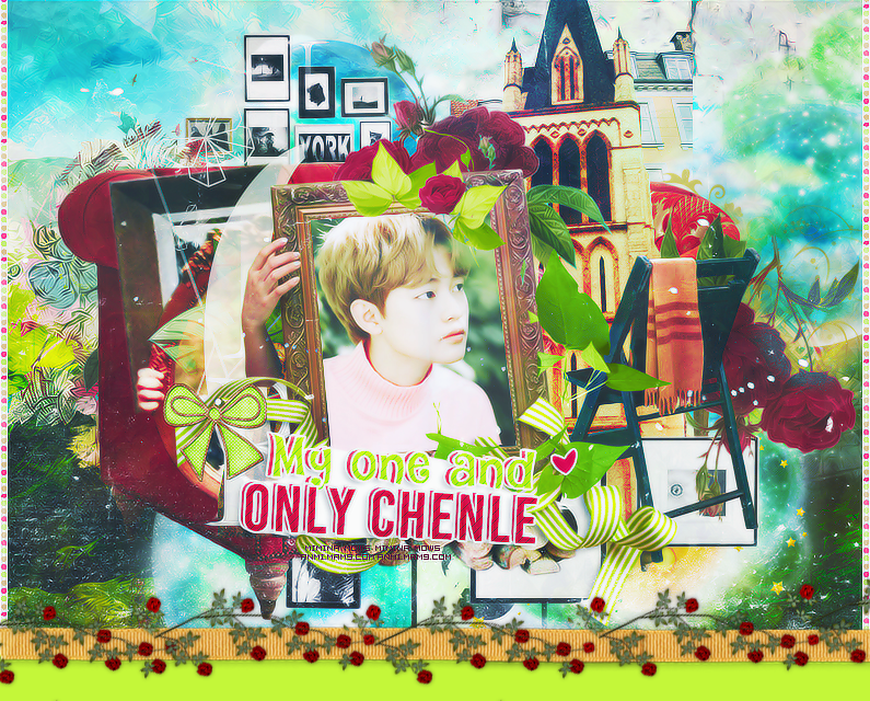  ♥  GREEN FOREST || BOMB ♥ P_951div2f1
