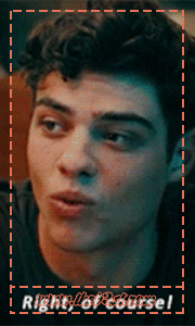 To All The Boys I Have Loved Before | GIF Icons | Noah Centineo | The Hunters P_968mc8931